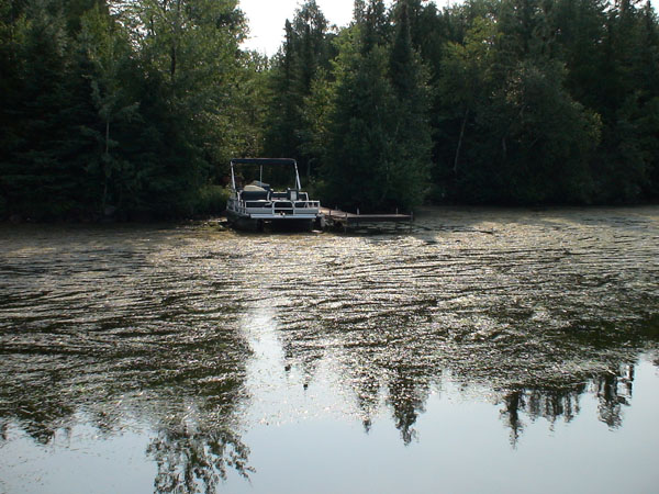 Shoreline weed mat