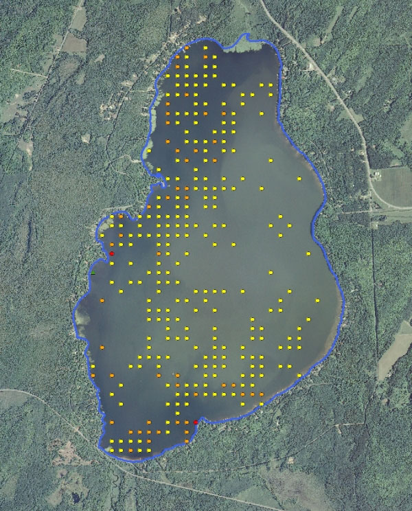 Pine Lake weed map